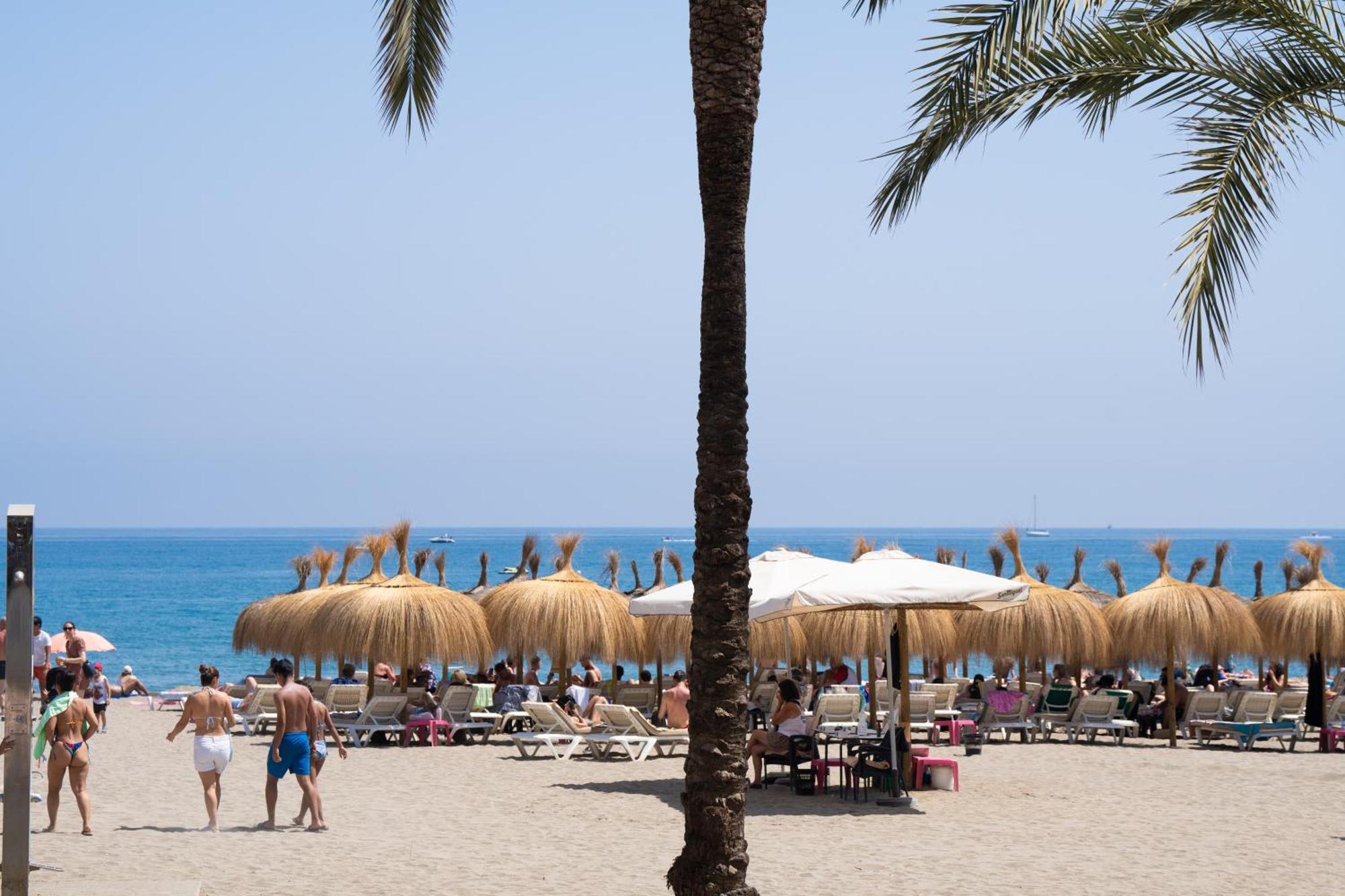 Oasis Lomas Del Club Apartment *