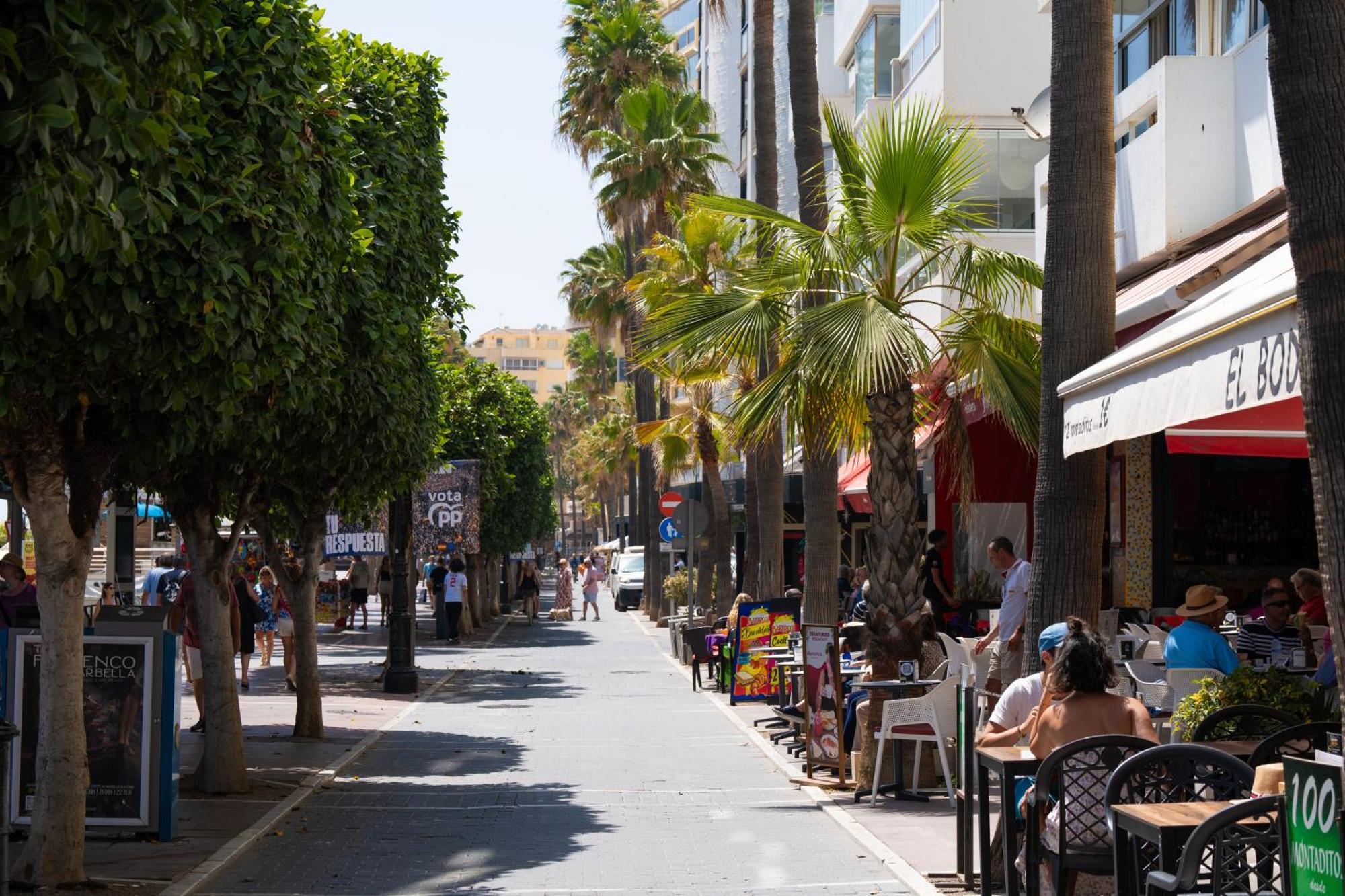 Apartment Oasis Lomas Del Club *