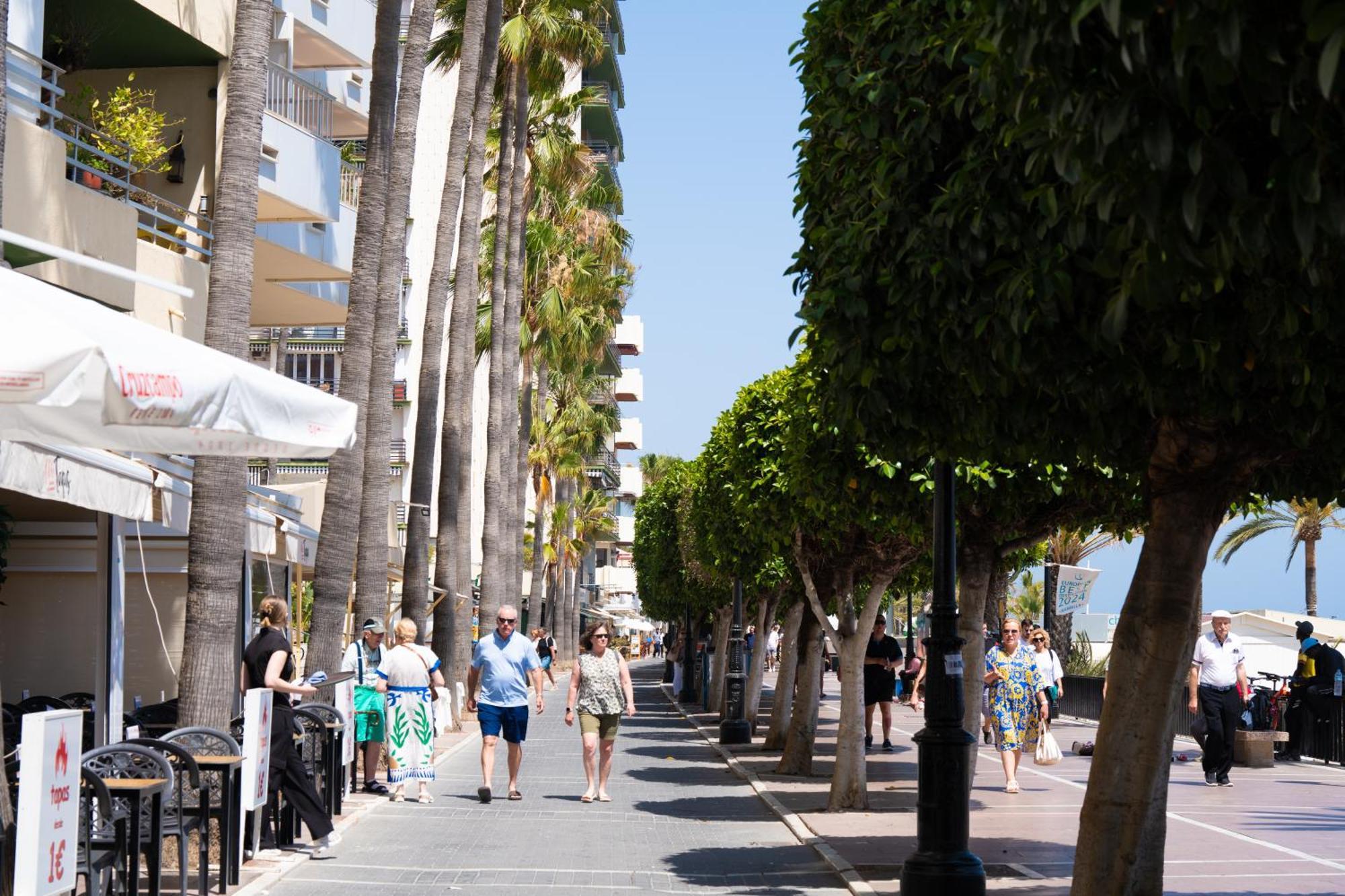 Oasis Lomas Del Club Apartment