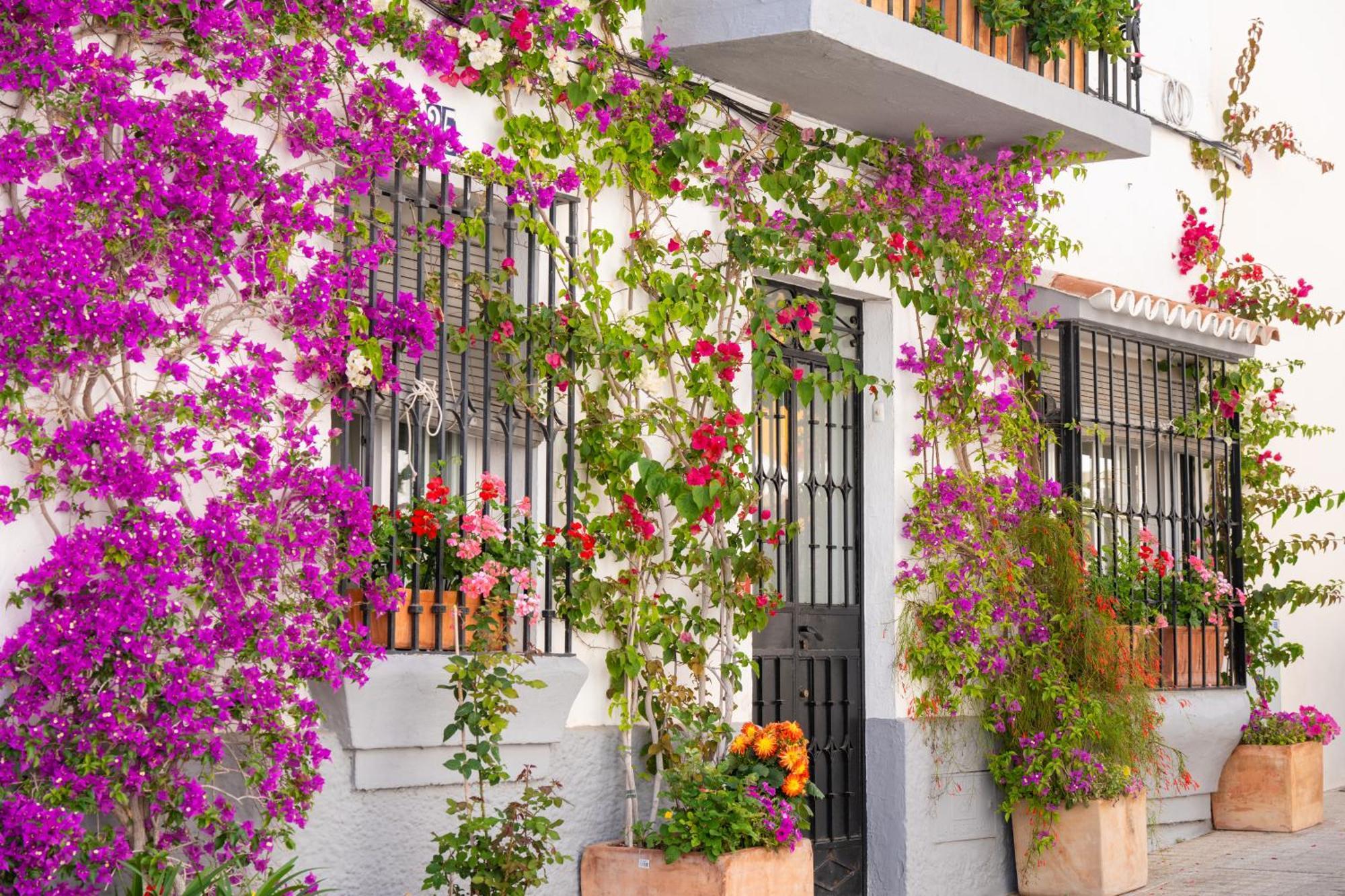 Apartment Oasis Lomas Del Club