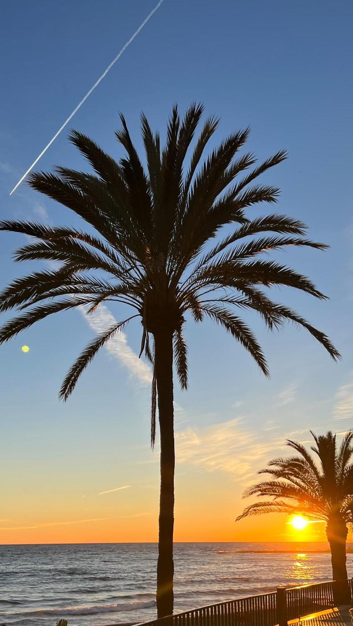 Al Parque Marbella, Cerca De Mar Y Centro De * Marbella