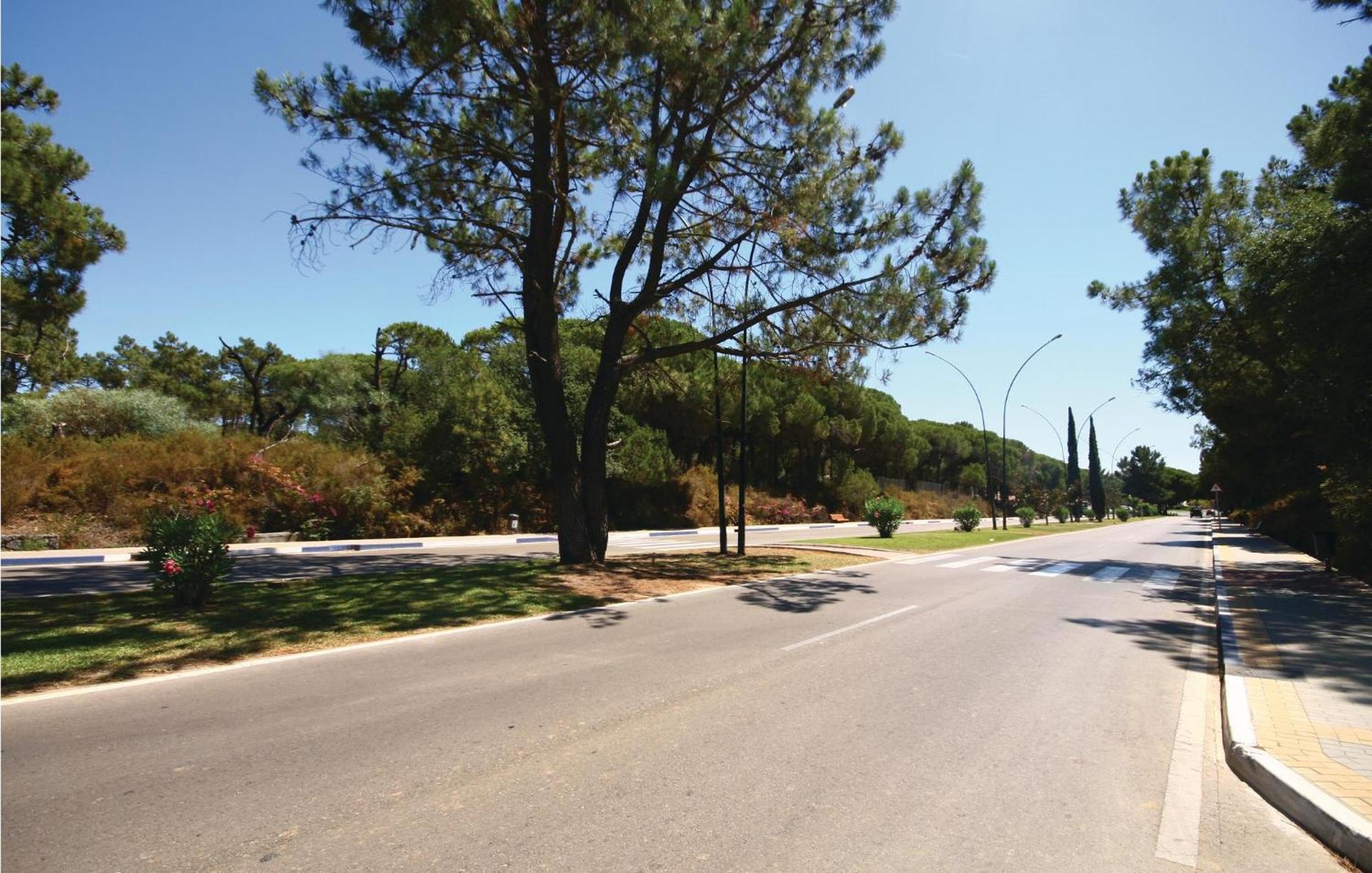 Beautiful In Marbella-elviria *