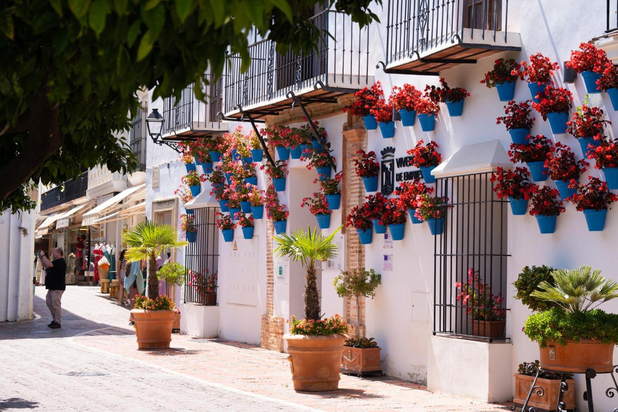 Apartamento Jardines Del Mar 527