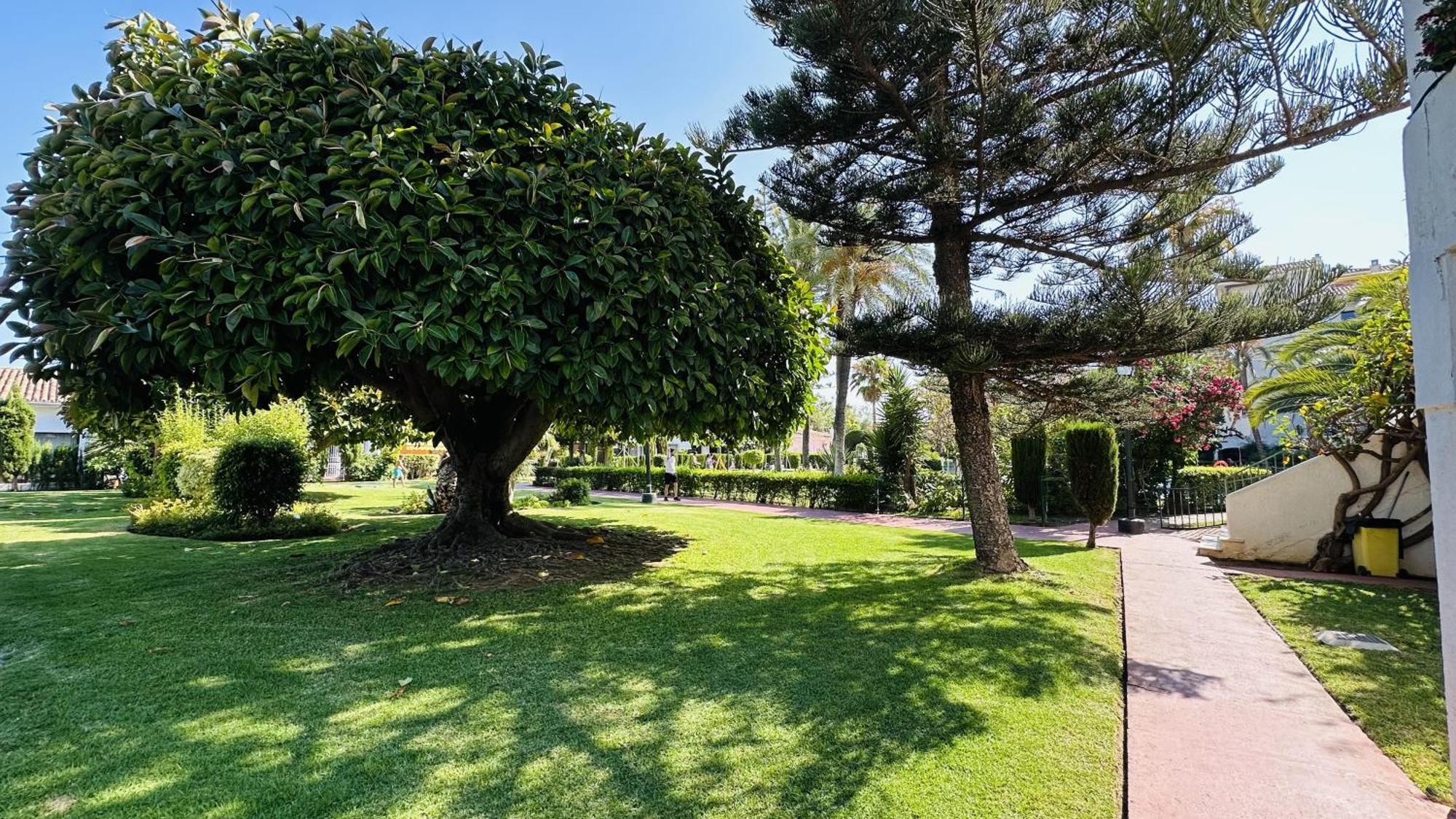Apartamento Estudio Carolina Park