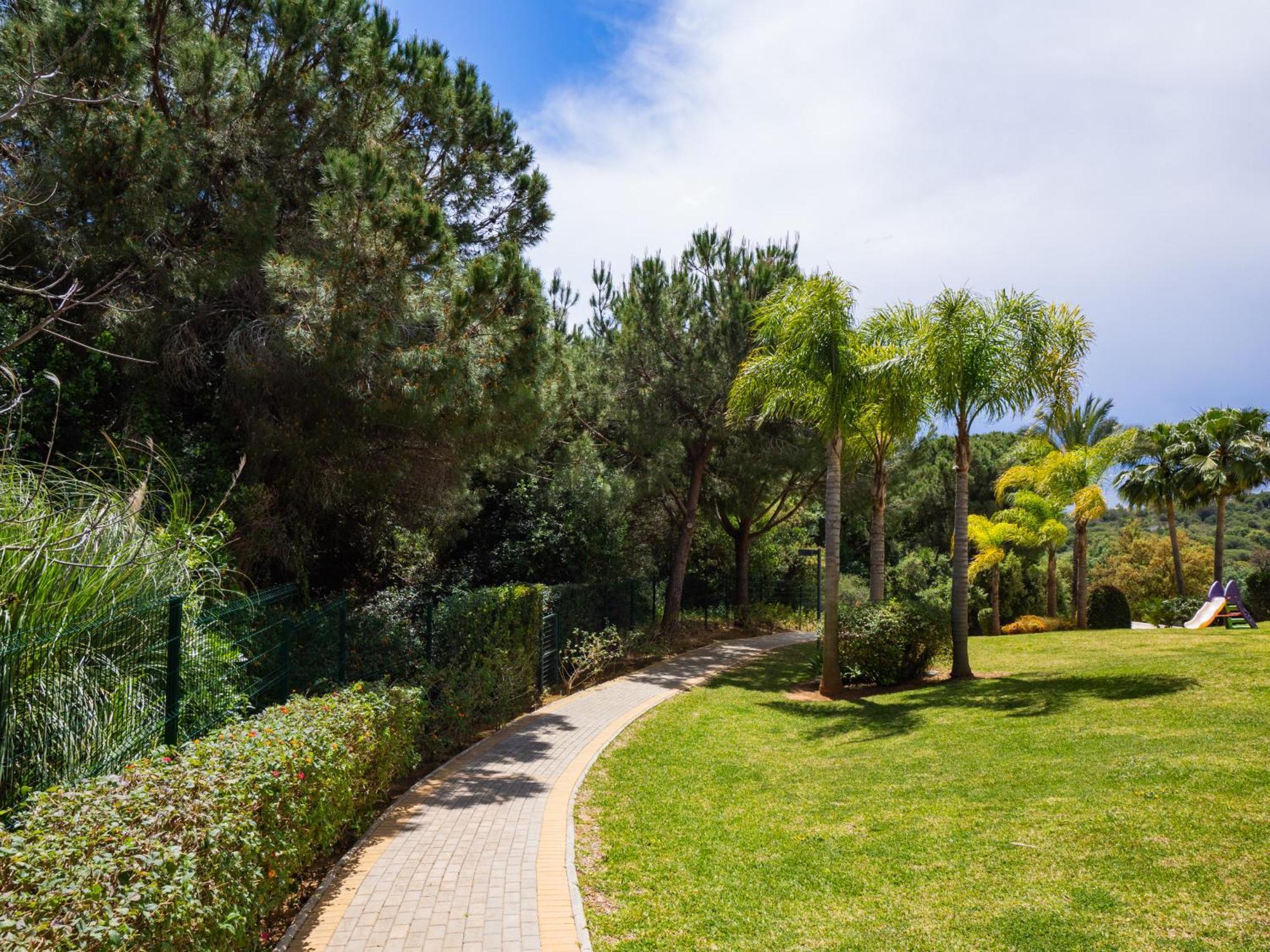 Cubo's Santa Maria Hills 3b