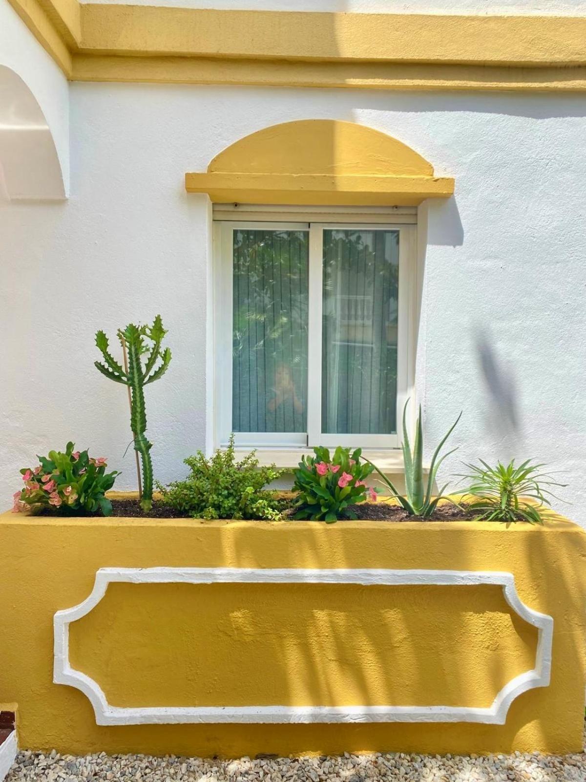 Designed In Apartamento *