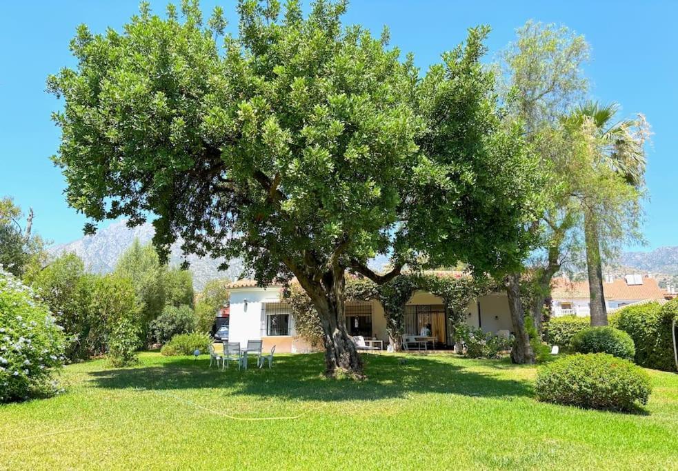 Relax - Jardin Inmenso & Privado En Holiday home *