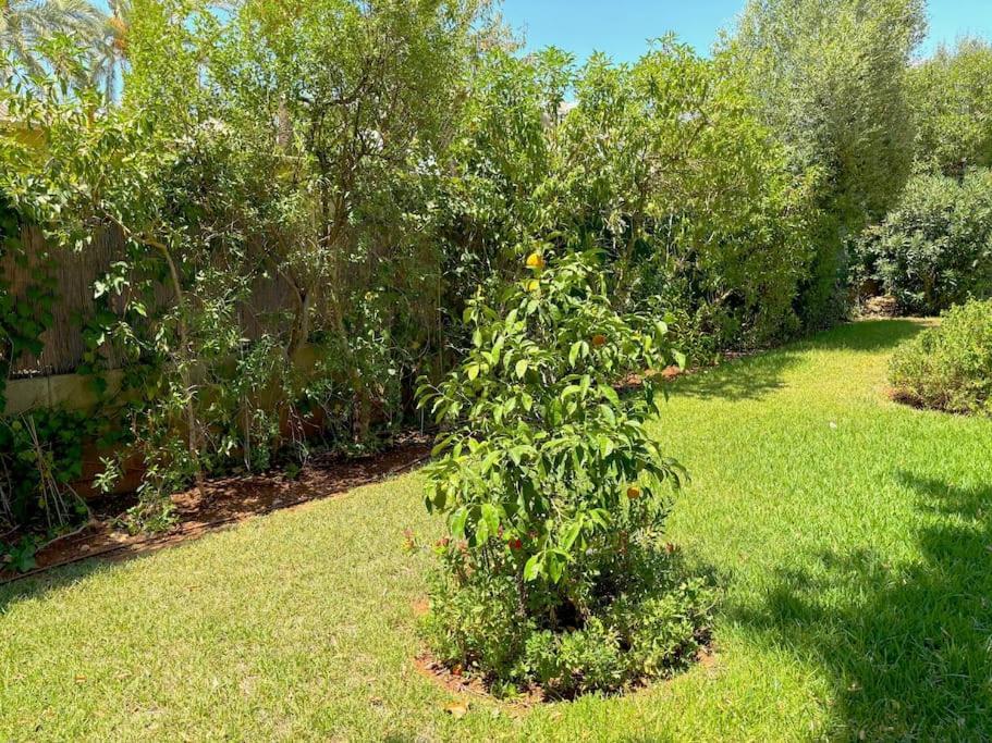 Relax - Jardin Inmenso & Privado En * Marbella