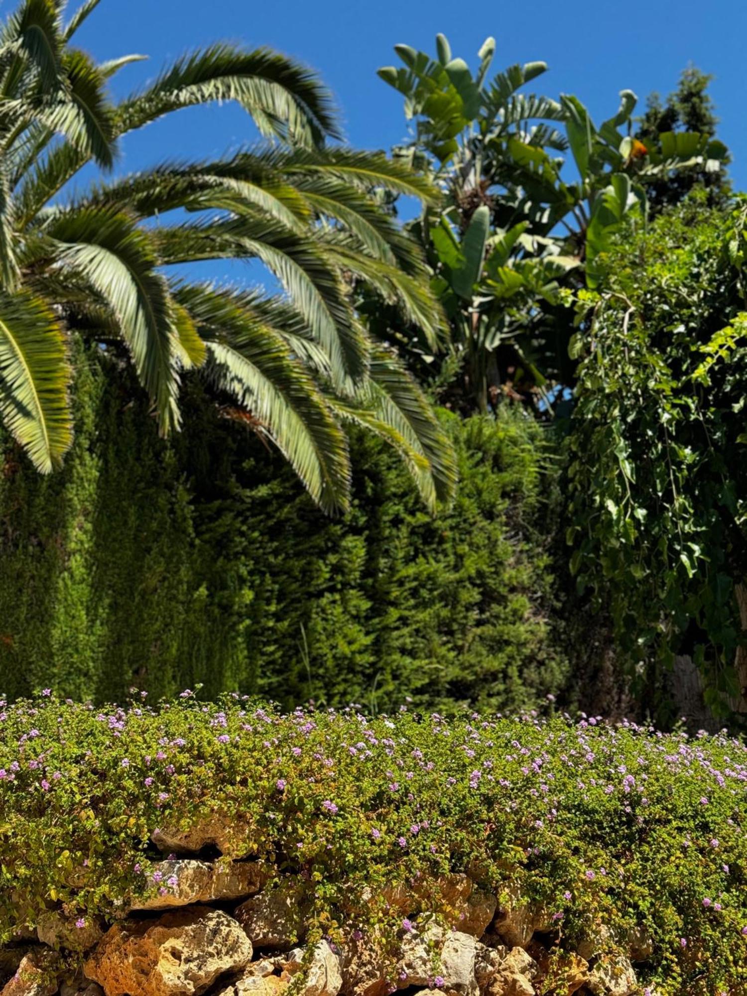 Bliss - Luxury 4-bedroom With Garden, Private Pool & Jacuzzi, Marbesa Near- 5 Min To The Cabopino Villa