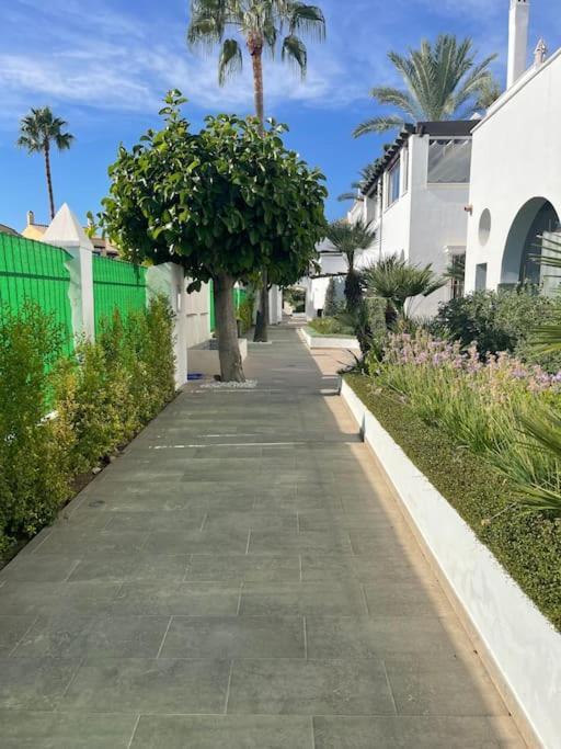 Superbe 3 Apartamento Marbella
