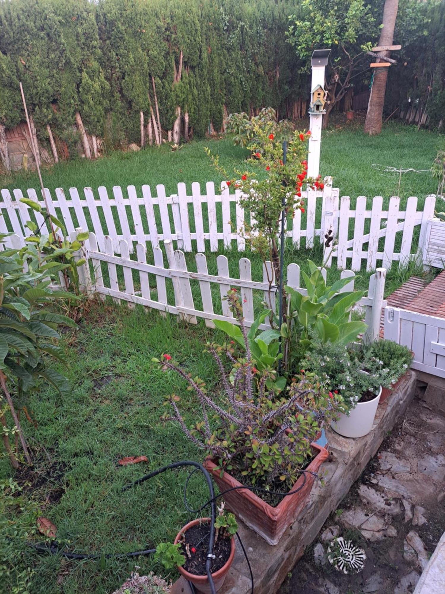 Con Jardin Y Piscina Pet Friendly *