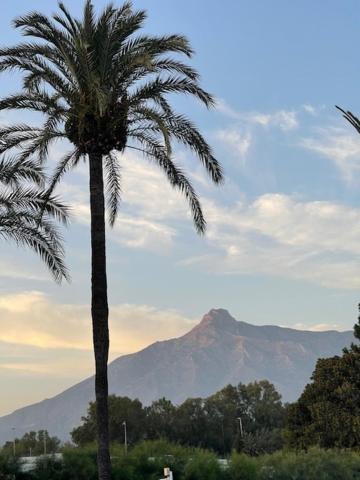 Urb. La Alcazaba, Puerto Banus / *