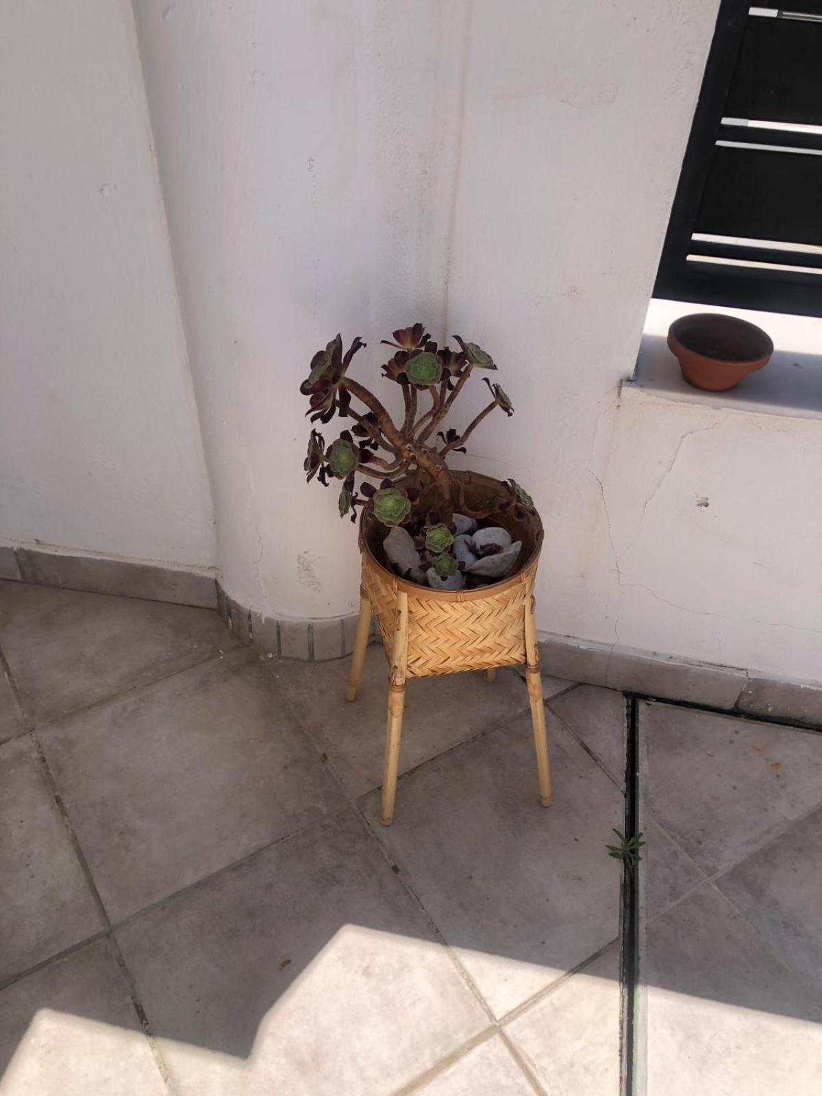 Casa Kava In A Superior Near Cabopino No Car Needed Apartment