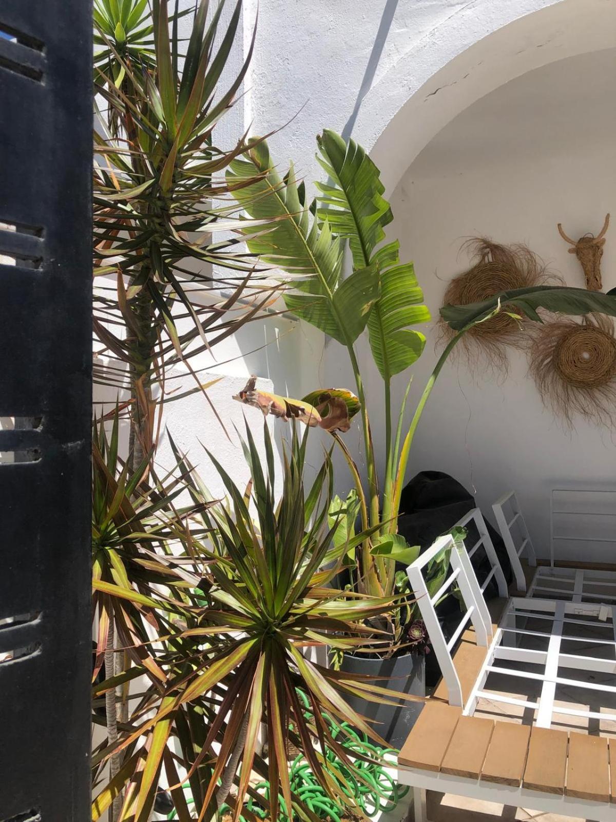 Apartment Casa Kava In A Superior Near Cabopino No Car Needed Marbella