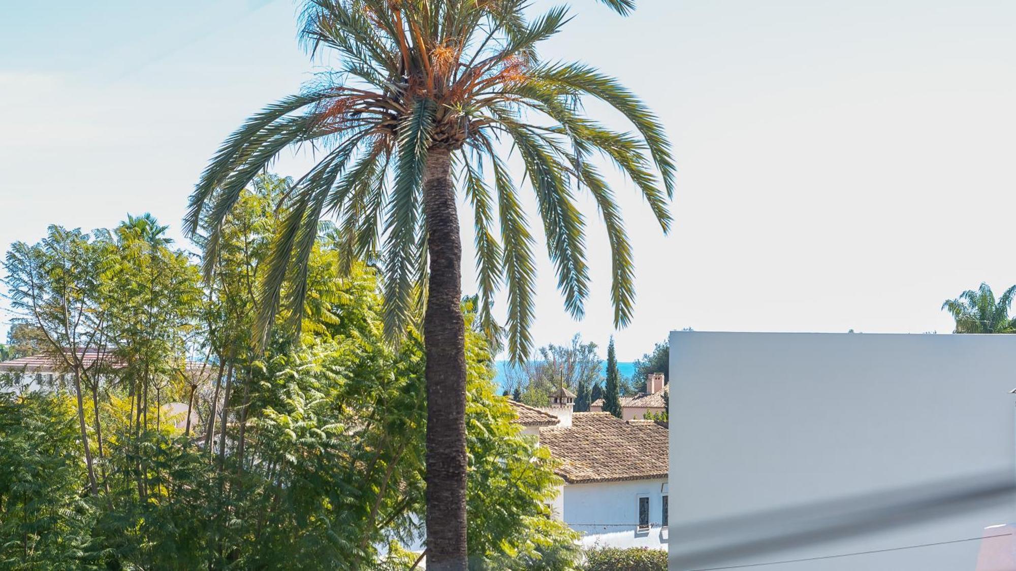 Ferienhaus Puerto Banus Dreamed Monelos Marbella