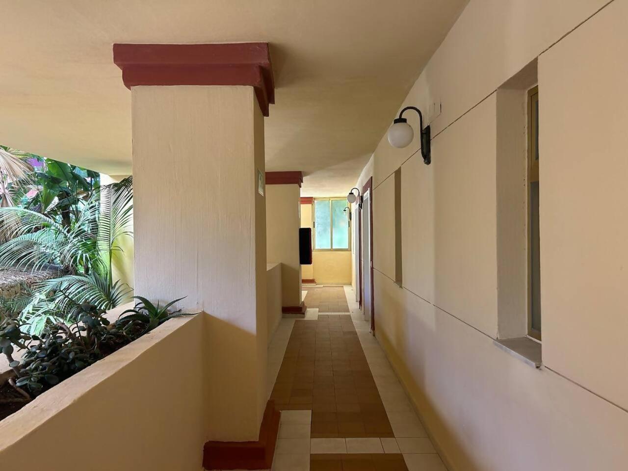 Apartamento Estudio Mediterraneo 1 Min De La Playa *
