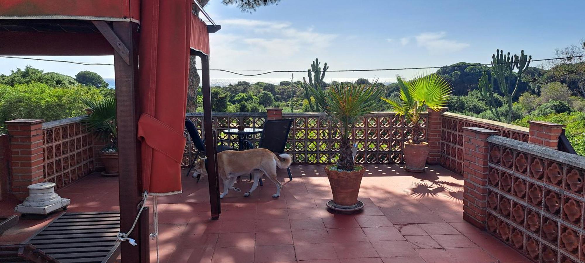 Garden At Casa Madden Apartment Marbella