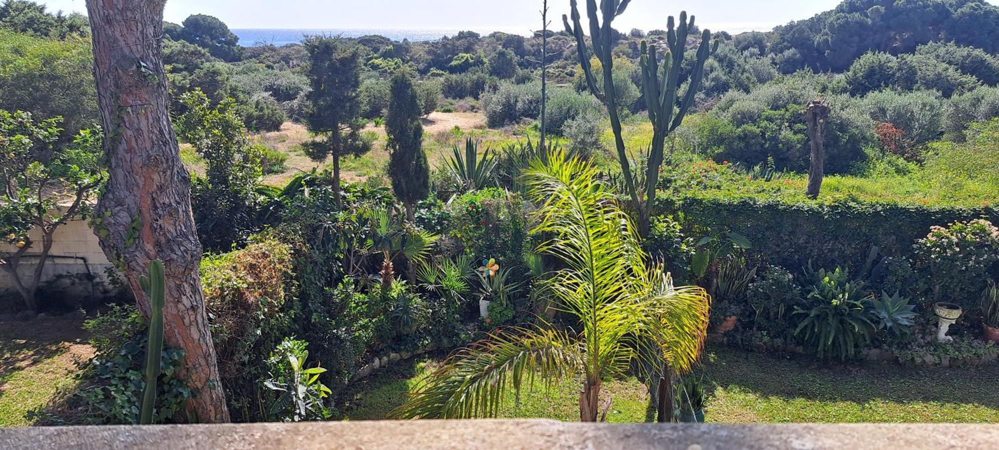 Garden At Casa Madden Marbella