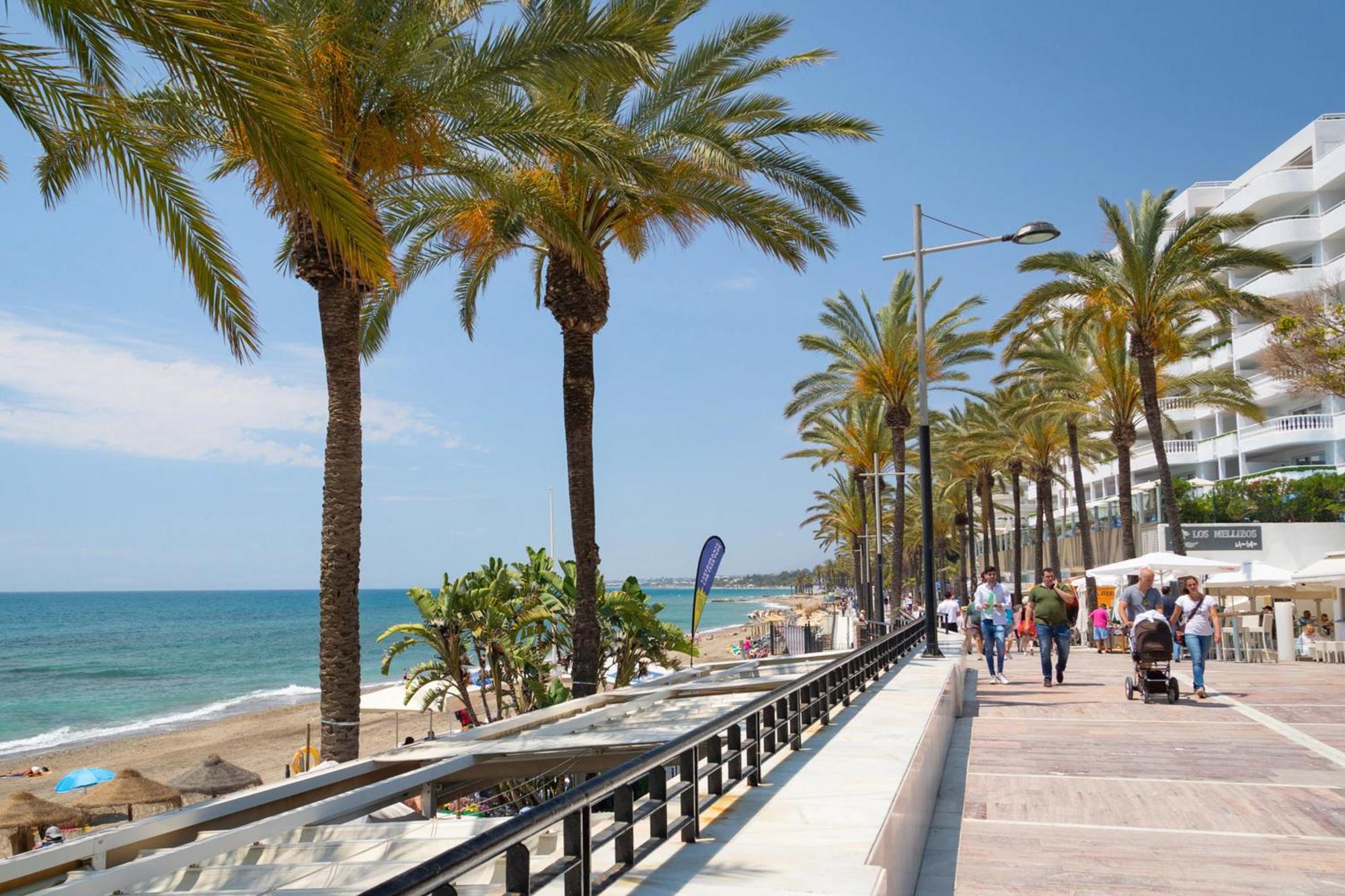 Beachfront Ph With Amazing Views Rdr357