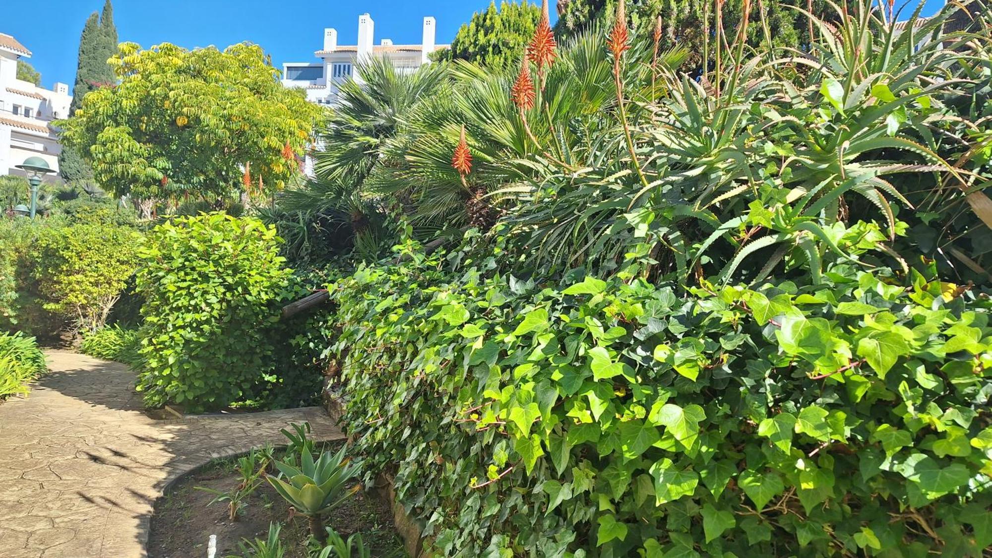 Apartment Living Marbella