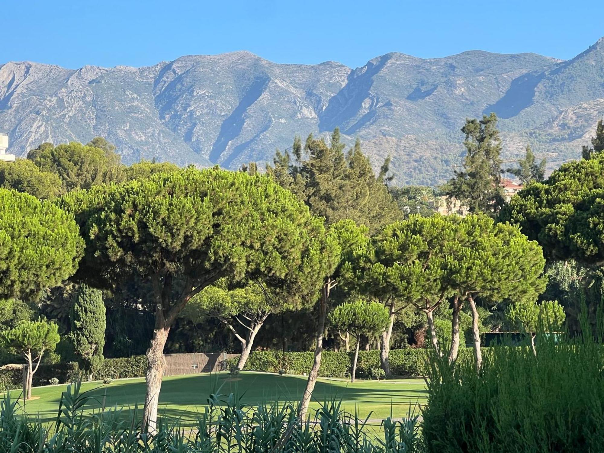Living * Marbella