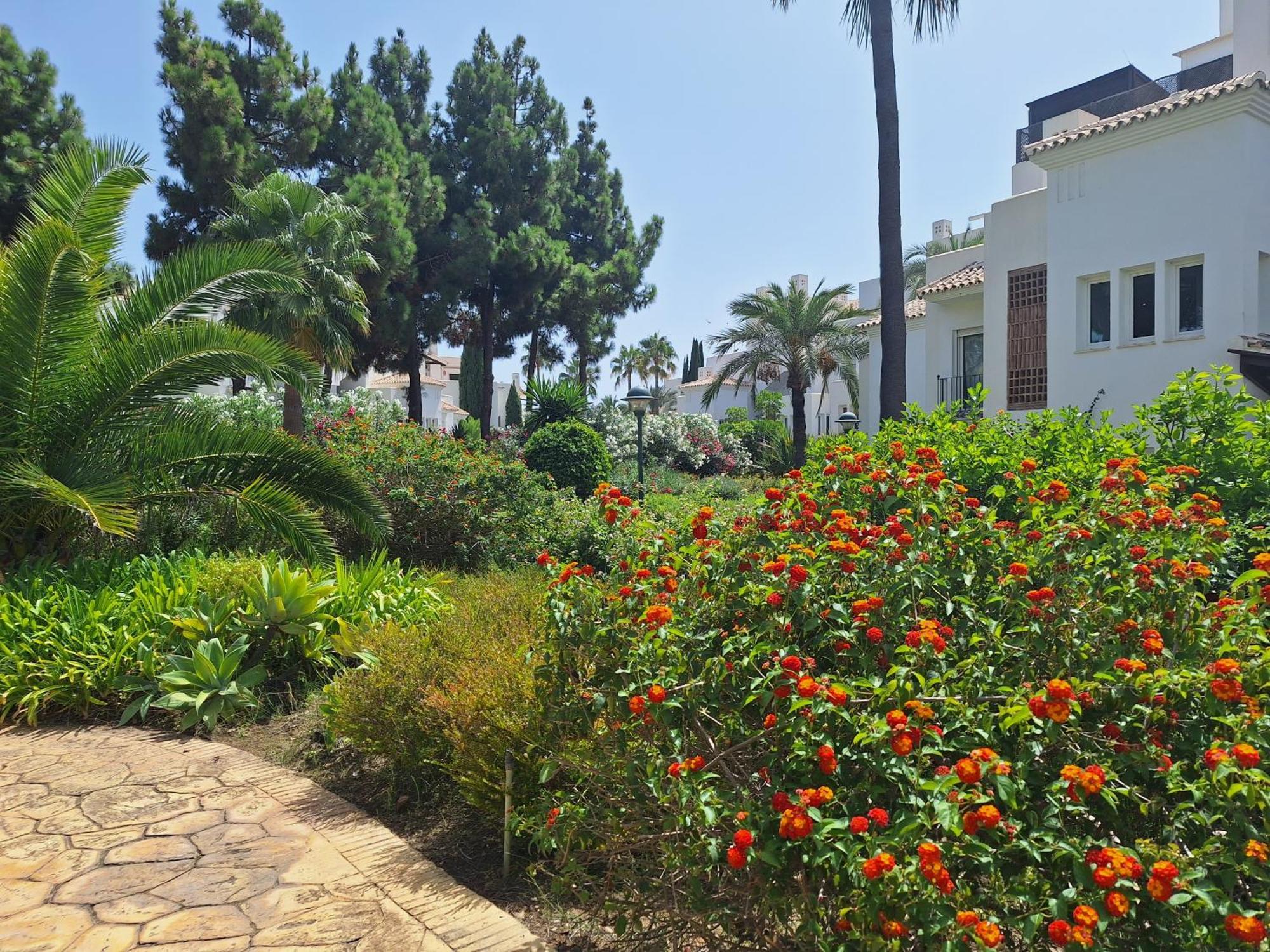 Living Marbella