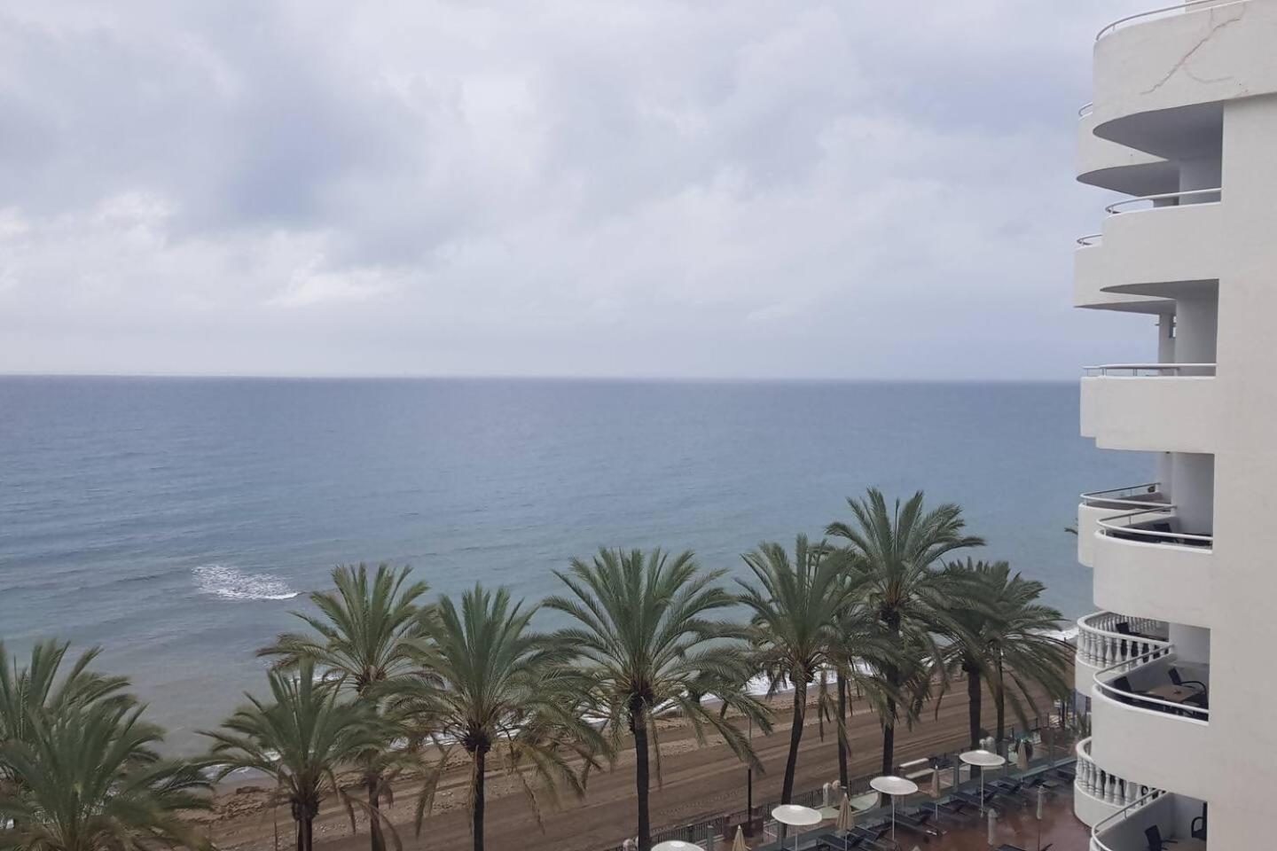 Palm Apartamento