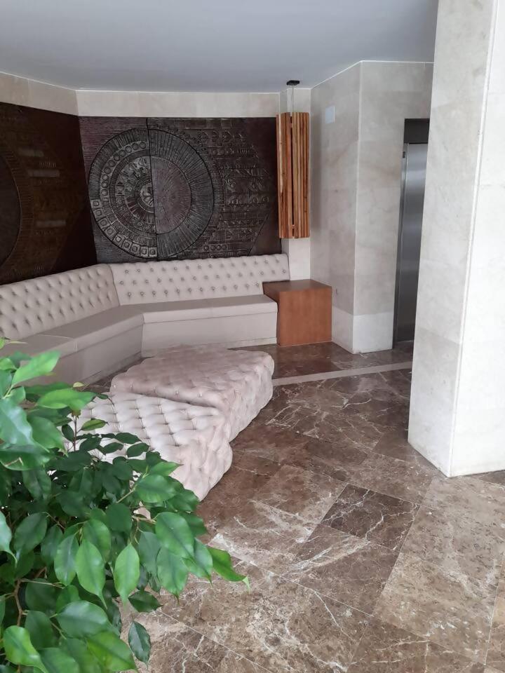 Palm Apartamento *