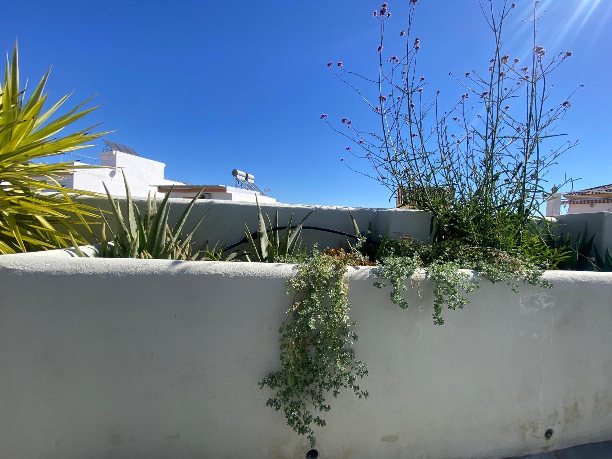 Appartement Romantic Rooftop With Stunning Sea And Mountain Views