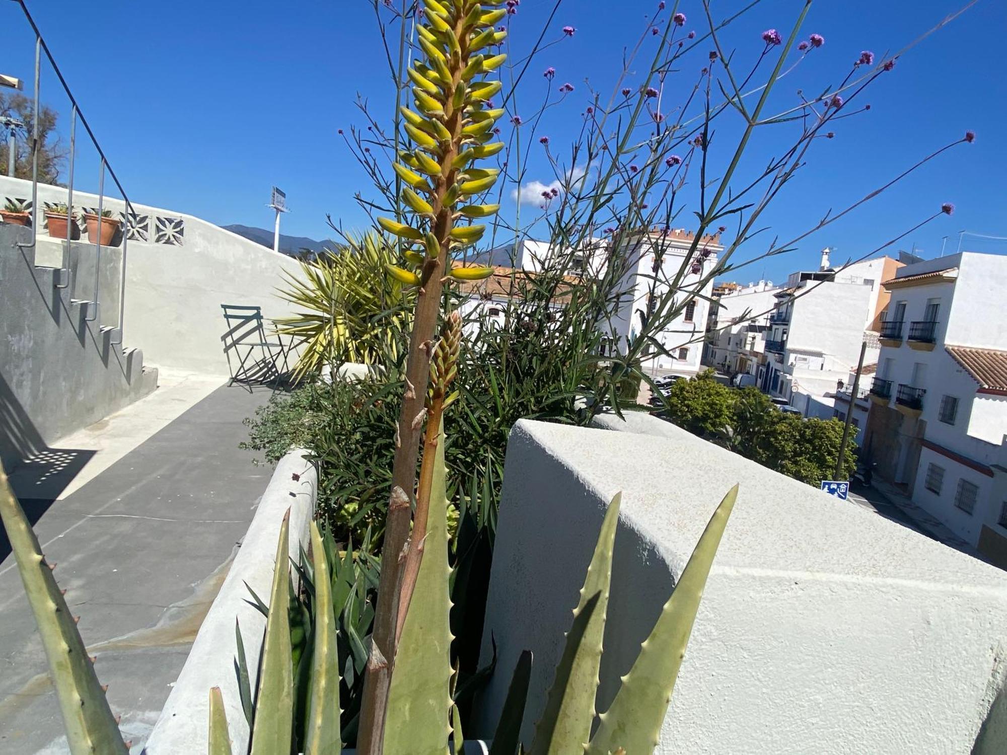 Appartement Romantic Rooftop With Stunning Sea And Mountain Views Marbella