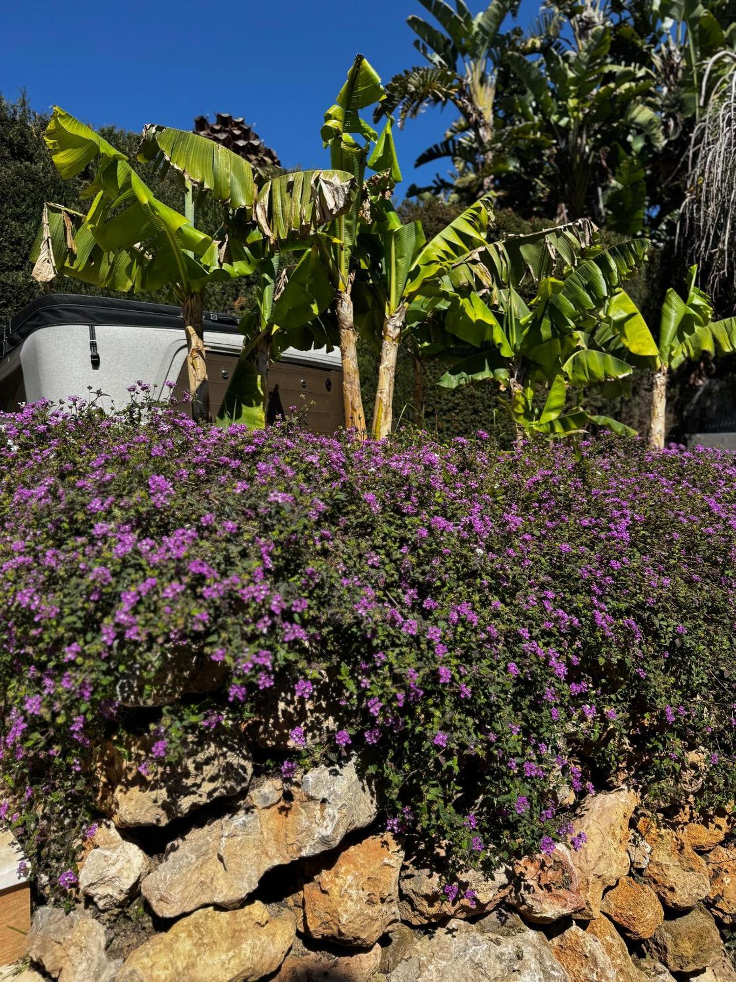 Bliss - Luxury 4-bedroom With Garden, Private Pool & Jacuzzi, Marbesa Near- 5 Min To The Cabopino Villa *