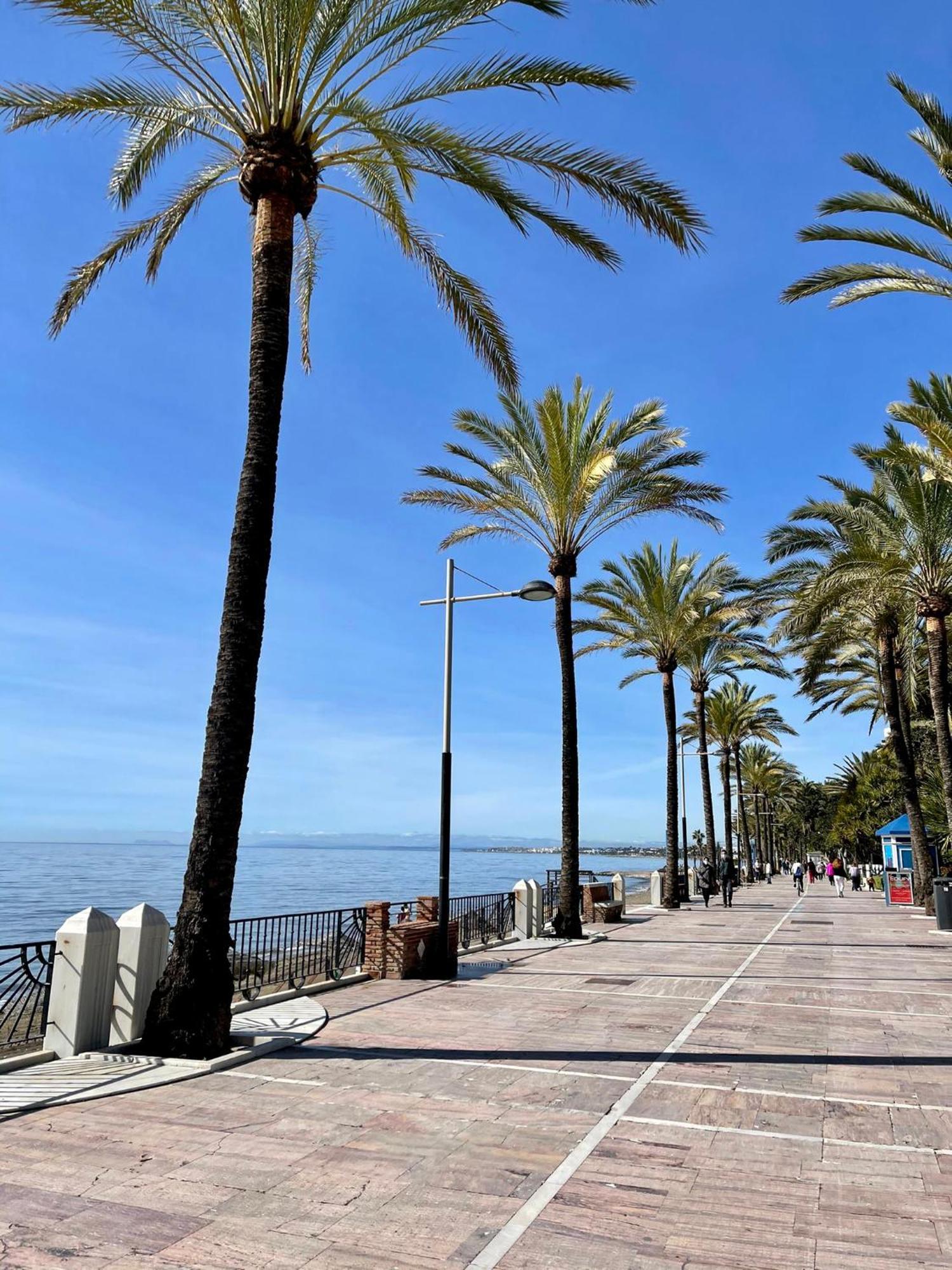 Apartment Port Beachfront - Eaw Homes