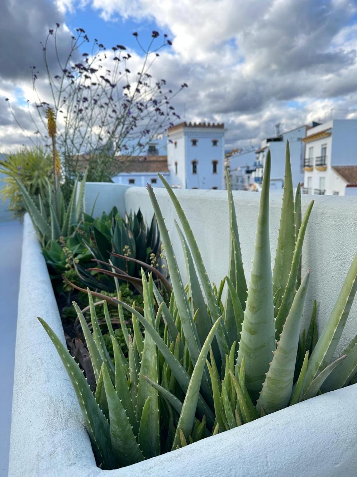 Romantic Rooftop With Stunning Sea And Mountain Views *