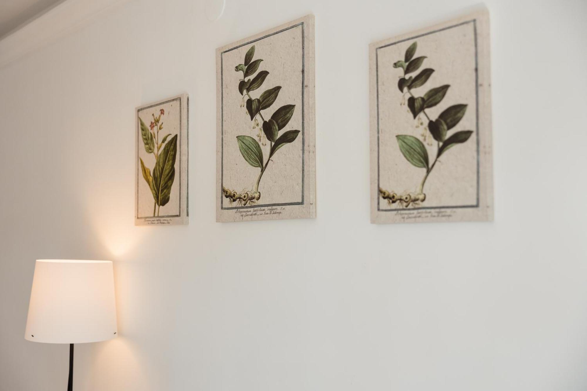 Apartamento Vacation In The Location, With Terrace, Pool And Bbq, In Center Marbella