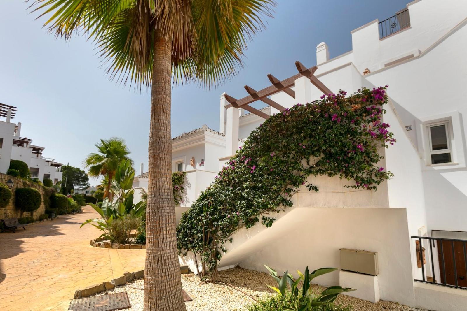Apartment Duplex With Rooftop Terrace Aloha Royal Rdr230 *