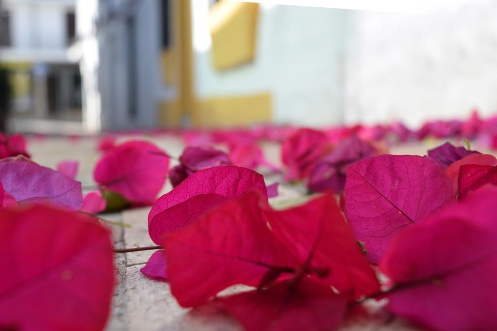 Guest house Aduar Marbella