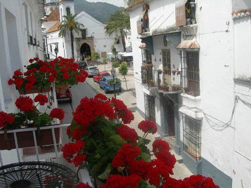 Hotel Linda 2*