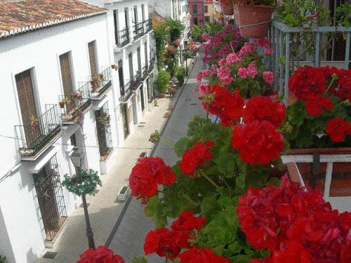 Linda Marbella