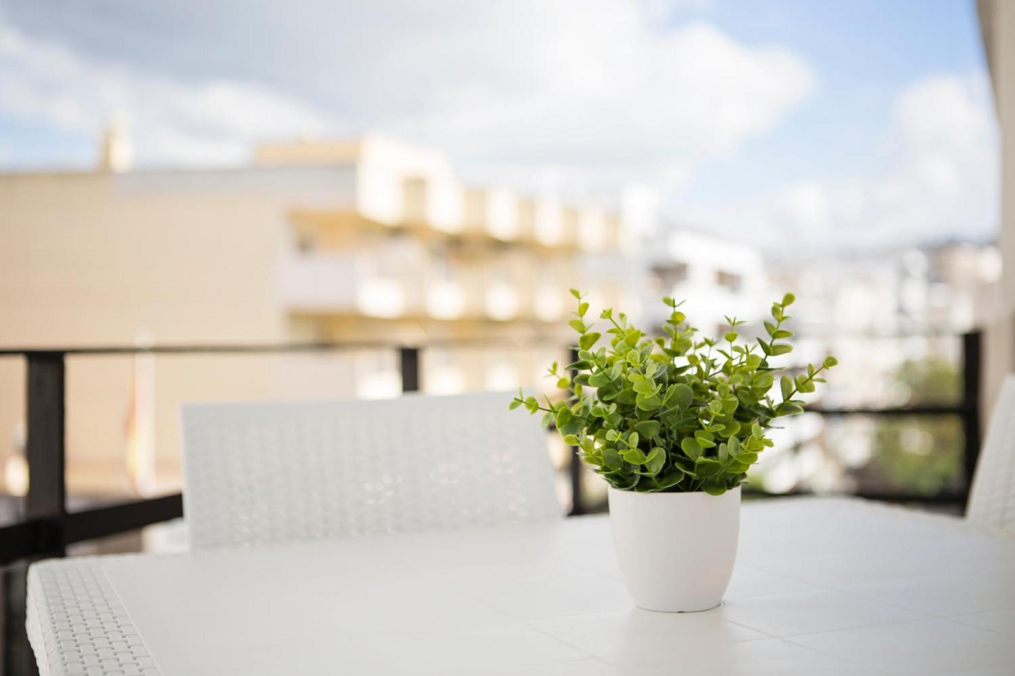 Apartment Sun