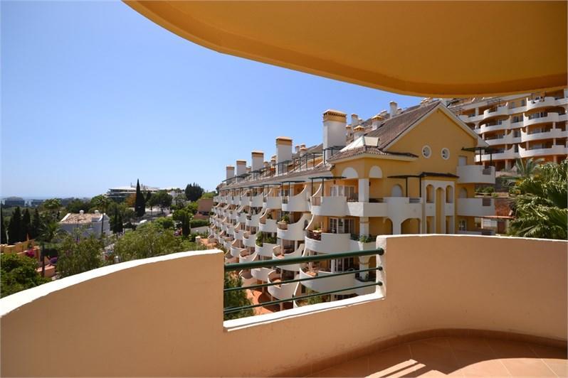 Senorio De Aloha Apartment *