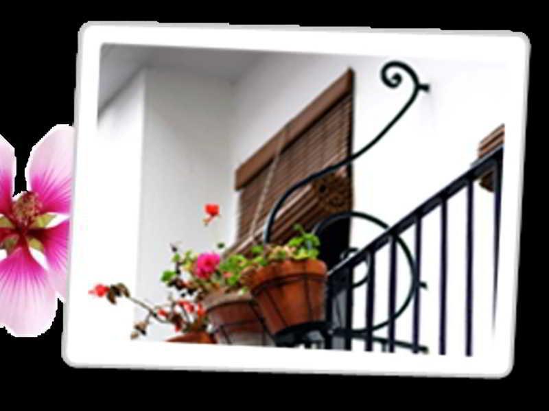 Paco Casa de hóspedes Marbella