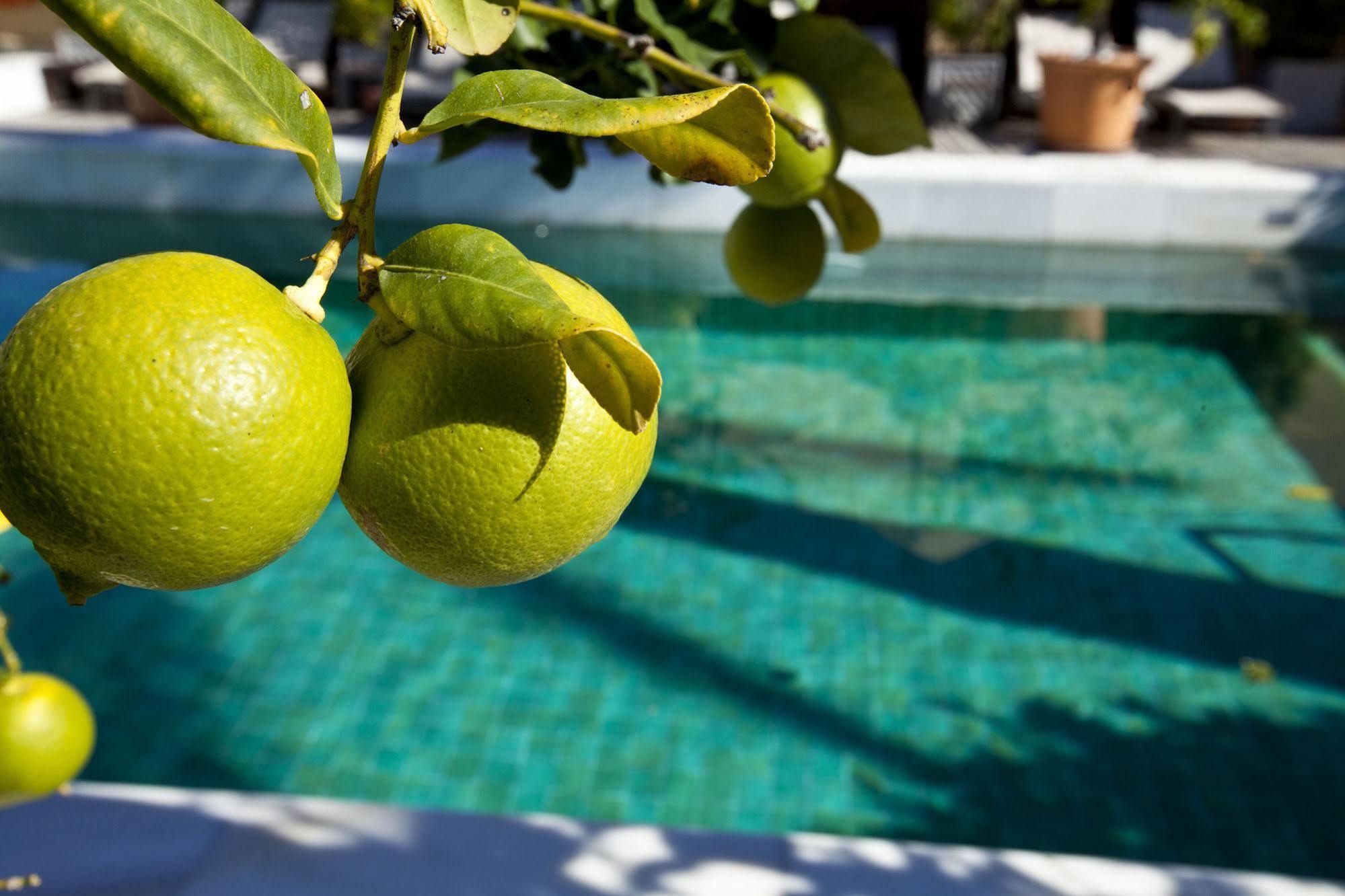 Rio Real Golf & Hotel Marbella