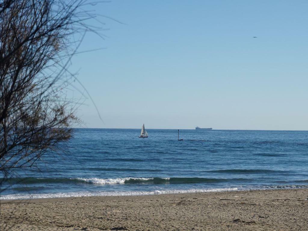 Bonito En Primera Linea Playa Apartamento *