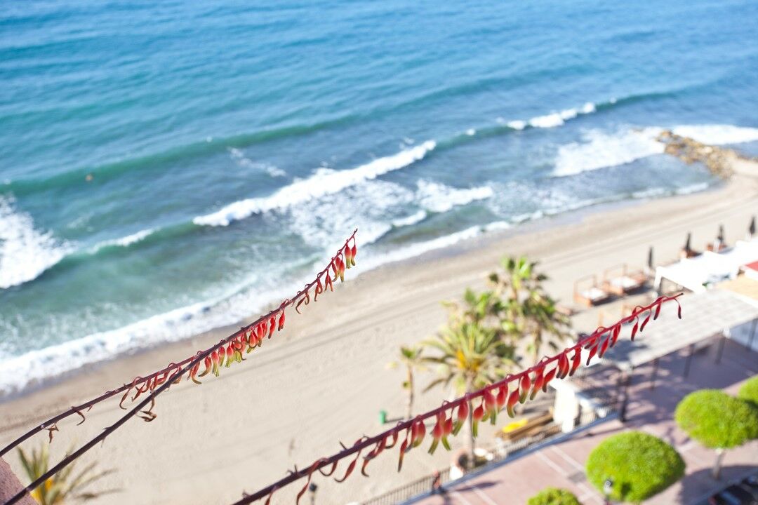 Ona Princesa Playa Aparthotel Marbella