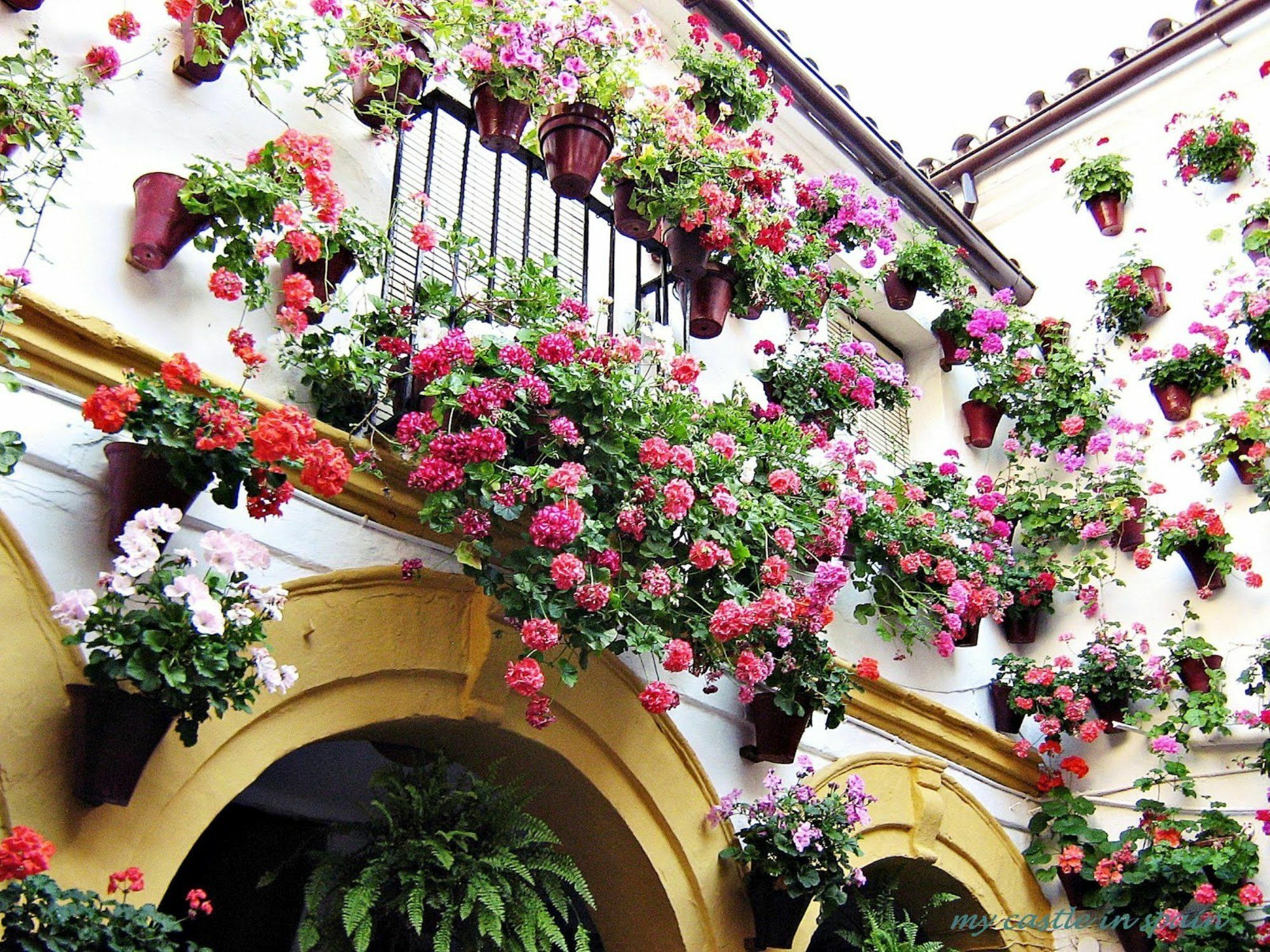 Villa Casa En *