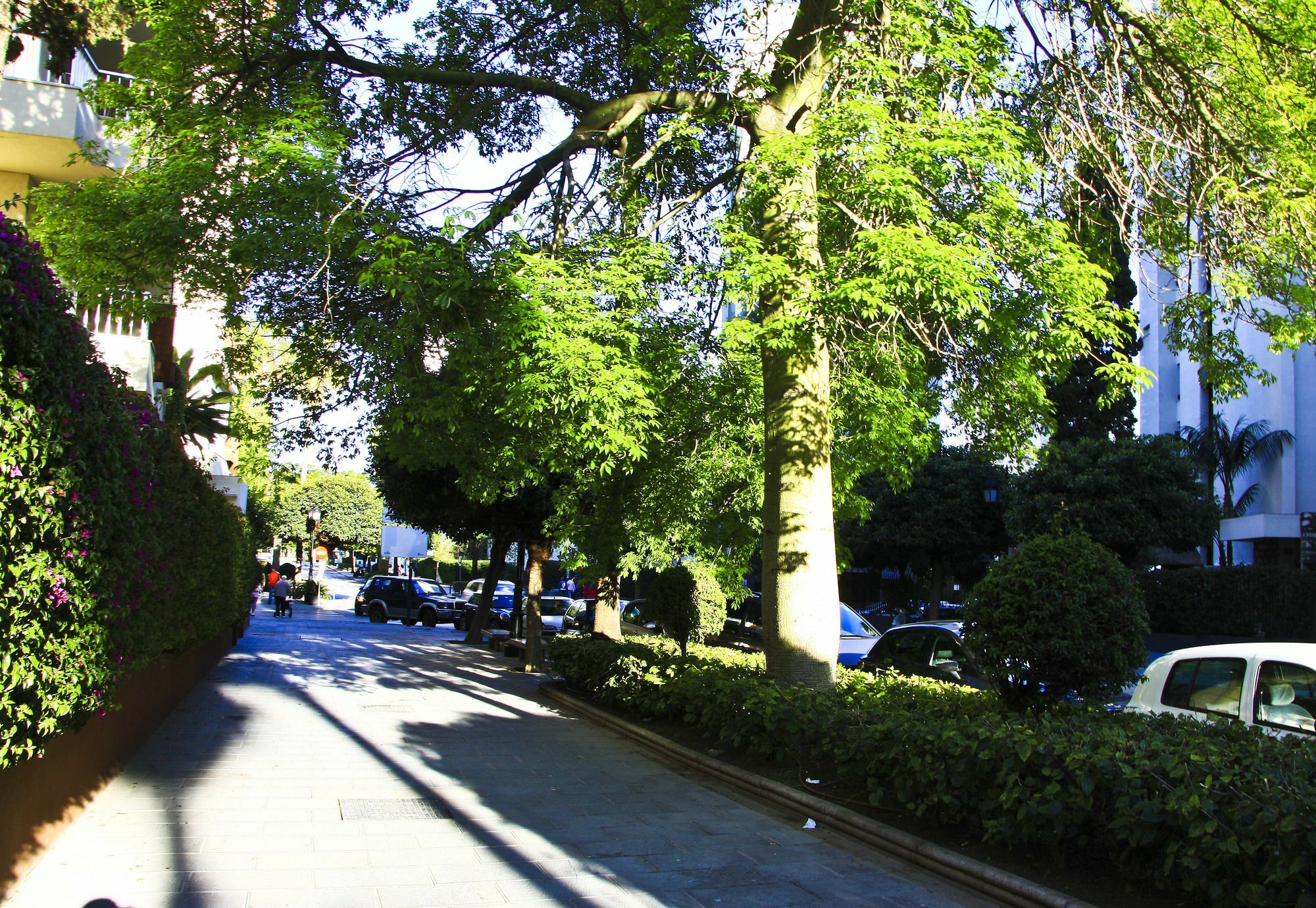 Chambao Apartment Marbella