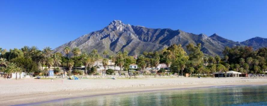 Jardines Del Puerto Apartment Marbella
