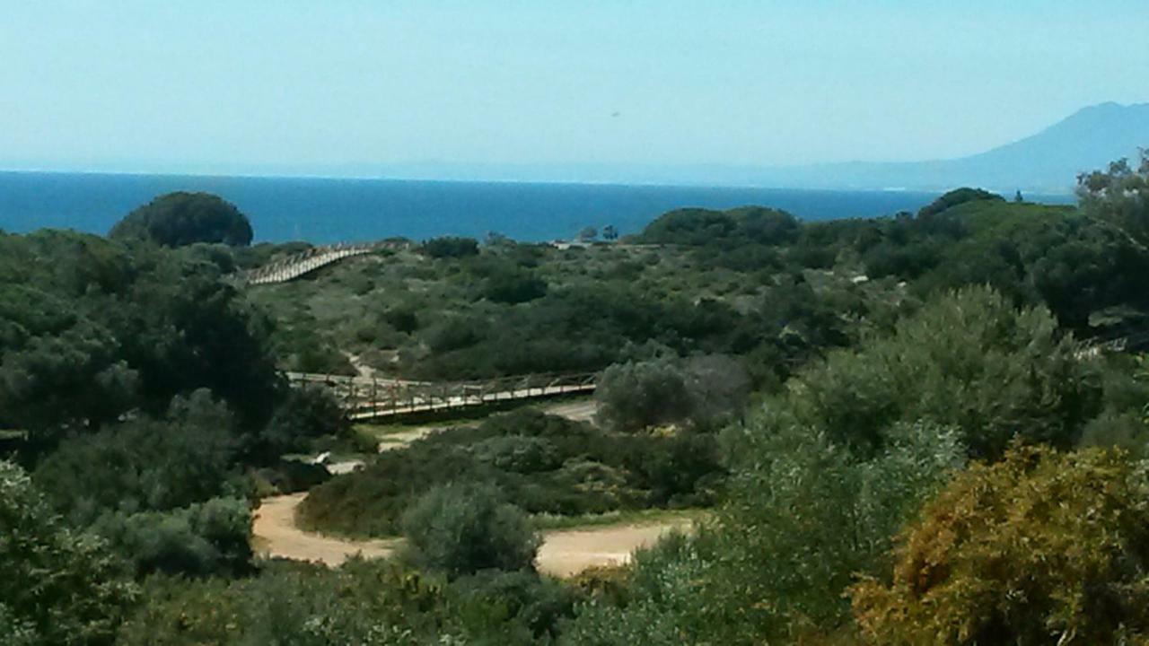 Garden At Casa Madden