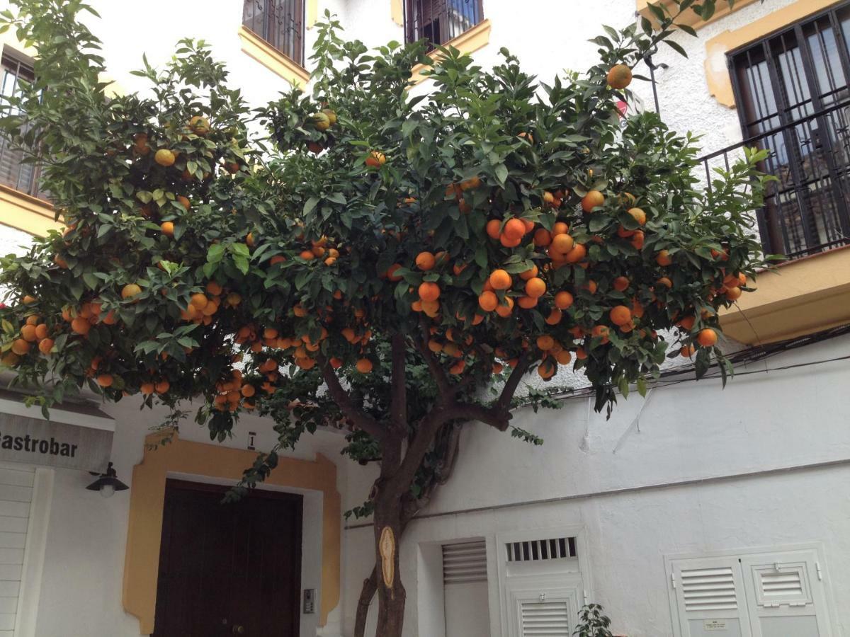 Casa La Naranja