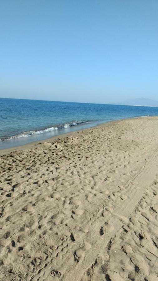 Golden * Marbella